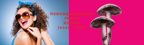 винт Арсеньев