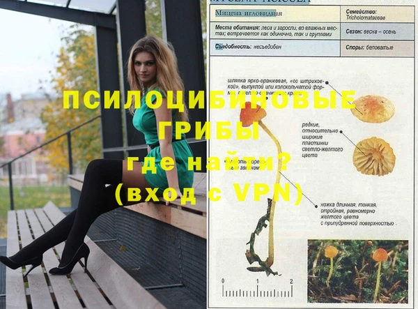 ГАЛЛЮЦИНОГЕННЫЕ ГРИБЫ Баксан