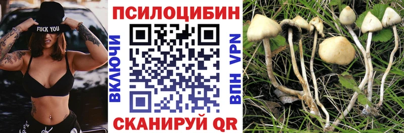 мега как войти  Петухово  Псилоцибиновые грибы прущие грибы  продажа наркотиков 