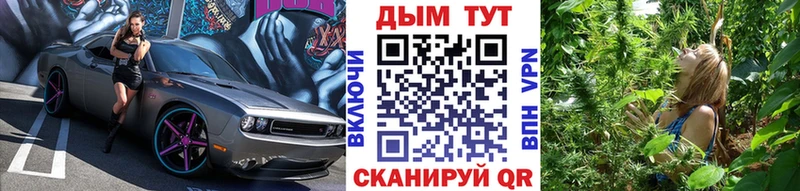 Бошки марихуана AK-47  Петухово 